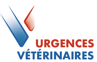 Urgences Vétérinaires à Mâcon 7j/7 - Emergency Pet Care